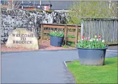  ?? 01_B17tubs01 ?? The flower tubs, like these in Brodick, have been taken over by the village committees.