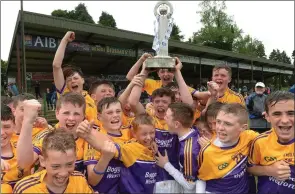  ??  ?? Faythe Harriers captain Cillian Boggan is mobbed by his team-mates after collecting the Christy Ring Trophy on their behalf. It was won against Ring’s former club, Glen Rovers.