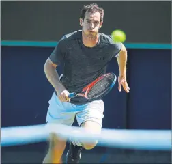  ??  ?? Andy Murray, entrenando en Queens’, donde reaparecer­á hoy contra Kyrgios FOTO: EFE