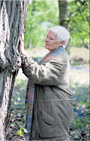  ??  ?? Life affirming: Dame Judi gains insight into how trees work