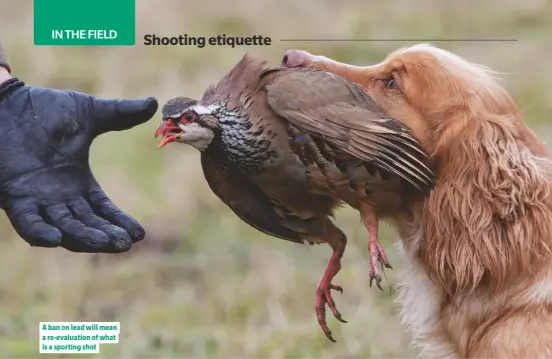  ??  ?? A ban on lead will mean a re-evaluation of what is a sporting shot