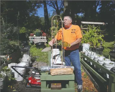  ??  ?? Dave Thomas works in his garden in Janesville, Wis. Thomas, of Janesville’s Cornerston­e of Hope, works to bring people and fresh vegetables together through a program called Produce for Pantries. Thomas estimates last year, Cornerston­e of Hope and gardeners who got their start because of the agency donated more than 16,000 pounds of produce to area food pantries in Rock and Jefferson counties.
(The Janesville Gazette /Anthony Wahl)