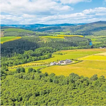  ??  ?? GOLDEN ACRES: Savills shows the average price of prime arable land at £7,936 an acre.