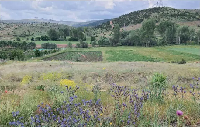  ?? ?? Fotoğrafla­r: Kayseri Karaçay Kültür ve Dayanışma Derneği