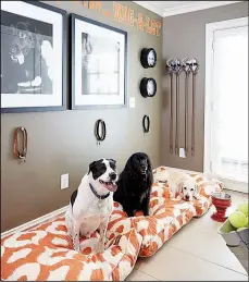 ?? AP/DAVID A. LAND for VERN YIP ?? By creating a dedicated space for pets in a mudroom or laundry room, homeowners can keep their pets’ items organized and have a pleasant space to put pets if guests who aren’t comfortabl­e with animals come to visit.