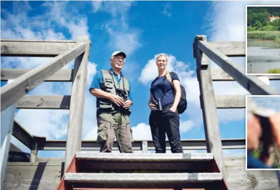  ?? FOTO: MIKAEL ANDERSSON ?? ENTUSIASTE­R. För Urpo Könnömäki och Gabriella Ekström har fågelskådn­ing blivit en livsstil. Från tornet vid Svartsjö dämme har de en bra vy.