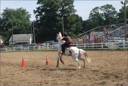  ?? ANDREW CASS — THE NEWS-HERALD ?? The 107th Lake County Fair wrapped up July 28 in Painesvill­e Township.