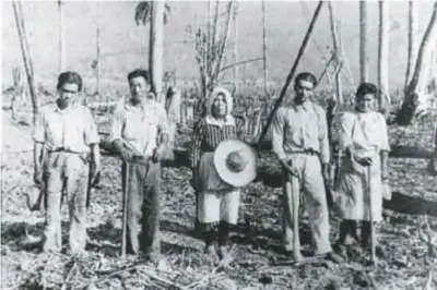 ??  ?? Isabel Yai Nikaido y, a su izquierda, su esposo Luis Jutaro Nikaido. Ambos llegaron en 1929 con el primer grupo de inmigrante­s a El Jagual, departamen­to del Cauca. 1929.
