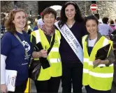  ??  ?? Volunteers wanted for the Fleadh