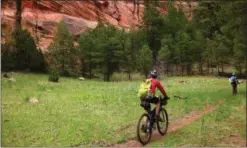  ?? SCOTT MORRIS VIA AP ?? Lee Blackwell and Chad Brown are shown bikepackin­g a segment of the Arizona Trail, south of Flagstaff, Ariz.