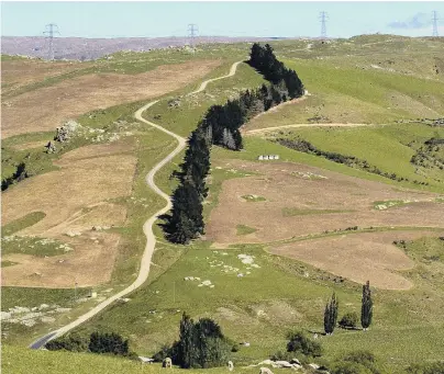  ?? PHOTO: GERARD O’BRIEN ?? The long and winding road . . . The Old Dunstan Road near Deep Stream at Rocklands Station.