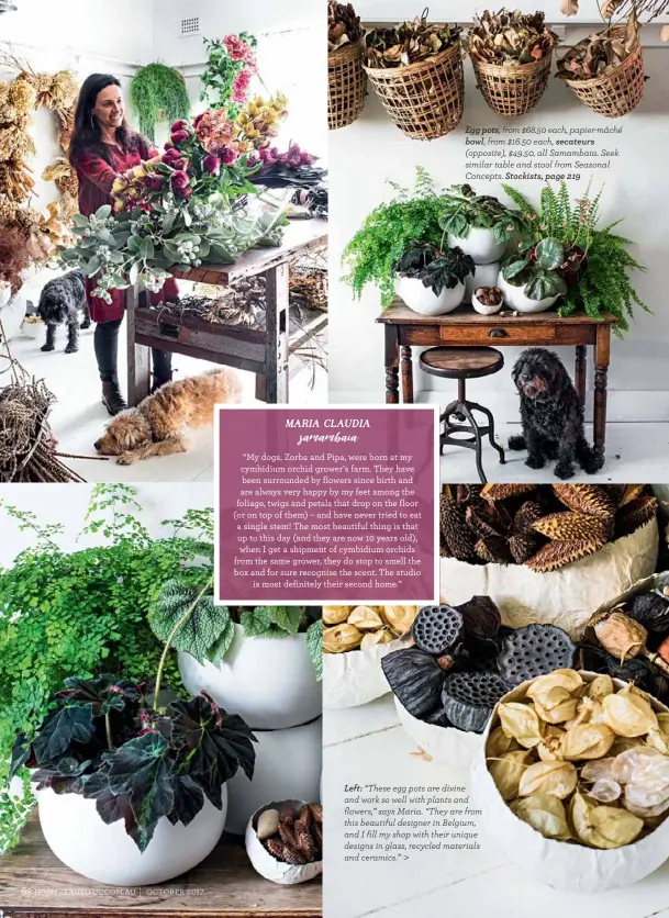  ??  ?? Egg pots, from $68.50 each, papier-mâché bowl, from $16.50 each, secateurs (opposite), $49.50, all Samambaia. Seek similar table and stool from Seasonal Concepts. Stockists, page 219 Left: “These egg pots are divine and work so well with plants and...