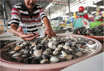  ?? ?? Fresh from the sea: a seller arranging shellfish at Cecil street Market in penang. The hot weather conditions there haven’t affected the catch of the day so far. — Chan BOON Kai/the star
