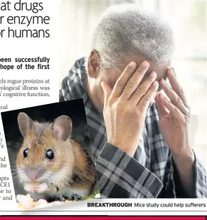  ??  ?? BREAKTHROU­GH Mice study could help sufferers