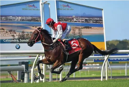  ?? Photo: Warren Lynam ?? PATH TO THE COAST: Michael Nolan is hoping I Am The General (pictured winning at the Sunshine Coast) can score at Allman Park in the lead up to the Madgic Millions on the Gold Coast.