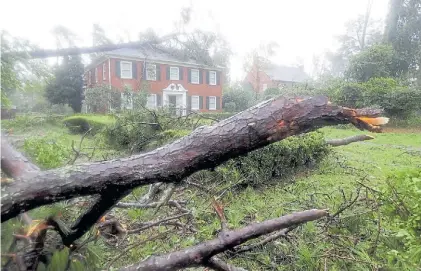  ?? AFP ?? Fenómeno. La fuerza del viento arrancó árboles de raíz y derribó postes de luz en Carolina del Norte.