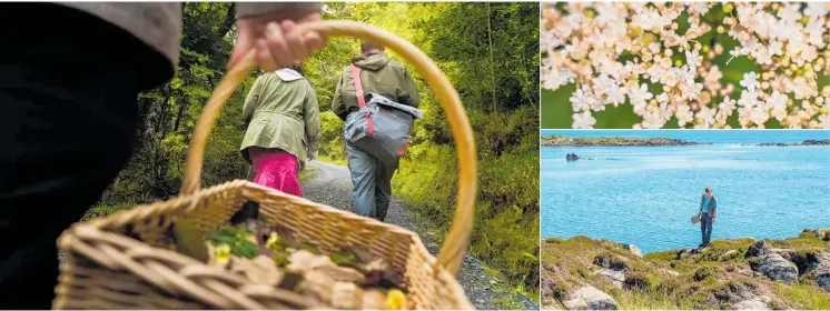  ??  ?? Foraging on Islay, Scotland and, bottom right: Bruichladd­ich distillery's chief forager James Donaldson. Photos / Supplied