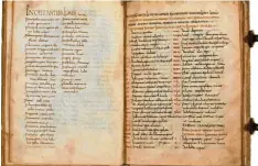  ?? Foto: Bayerische Staatsbibl­iothek ?? Das Lorscher Arzneibuch entstand um 800 nach Christus. Darin finden sich frühmittel­alterliche Rezepte.