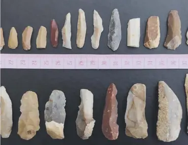  ?? ?? ↑ A selection of the lithics found during the excavation­s along the Dee Valley