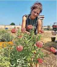  ?? [PHOTO BY CARLA HINTON, THE OKLAHOMAN] ?? Tonya Key tends to flowers growing in the community garden at City Rescue Mission.