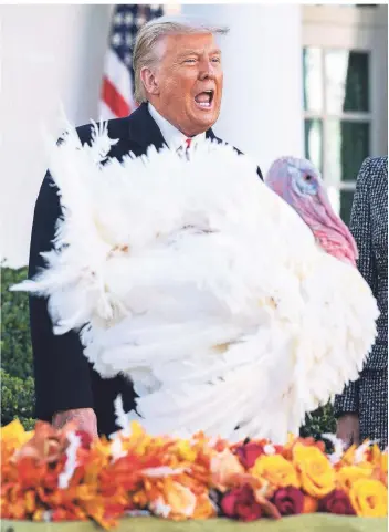  ?? FOTO: KEVIN DIETSCH/IMAGO IMAGES ?? Us-präsident Donald Trump begnadigt Corn, den nationalen Thanksgivi­ng-truthahn.