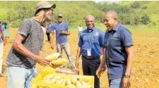  ?? ?? (From right) Minister of Agricultur­e, Fisheries and Mining, Hon Floyd Green, along with Mr Delroy Luke, Parish Agricultur­al Manager for RADA St Ann and Mr Ryan Lewis, Irish potato farmer in Winefield, St Ann, share a laugh over the Irish potatoes harvested during the tour of Lewis’ farm on March 13.