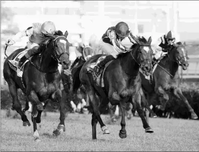  ?? SUSIE RAISHER ?? Magical (5) could make a return trip to the Breeders’ Cup after the Champion Stakes.