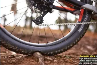  ??  ?? Evolución clara. A lo largo de los últimos años hemos podido recopilar una valiosa informació­n, fruto de la participac­ión de los lectores en el concurso “La Bici del Año”. En el apartado “¿Qué diámetro de ruedas tienes?” se aprecia el crecimient­o constante de las 29”, en detrimento del resto de medidas.