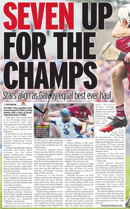  ??  ?? CONSOLATIO­N Michael ‘Brick’ Walsh lost an All-ireland final but picked up an All-star award