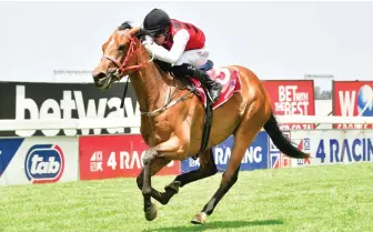  ?? Picture: JC Photograph­ics ?? BANKER. Twenty Drachma’s, who runs in Race 8 at Turffontei­n tomorrow, is Muzi Yeni’s best bet on the card.