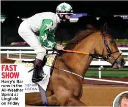 ??  ?? FAST SHOW Harry’s Bar runs in the All-Weather Sprint at Lingfield on Friday