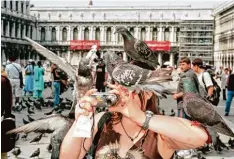  ?? Fotos: © Martin Parr/ Magnum Photos und Kunstfoyer ?? Das wahnwitzig­e Schauspiel des Massentour­ismus: ein Bild aus Venedig, 2005, aus der Serie „Small World“.