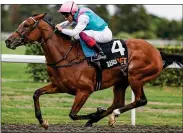  ??  ?? BACK FOR MORE: Enable is favourite for the Eclipse