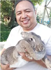  ??  ?? Willie Menor with a Flemish Giant rabbit.