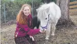  ??  ?? Dominic College animal husbandry student Melanie Casboult with her pony.