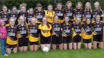  ??  ?? The Adamstown Minor ladies’ football team prior to beating Crossabeg-Ballymurn by three goals to clinch the county Division 2 championsh­ip crown.