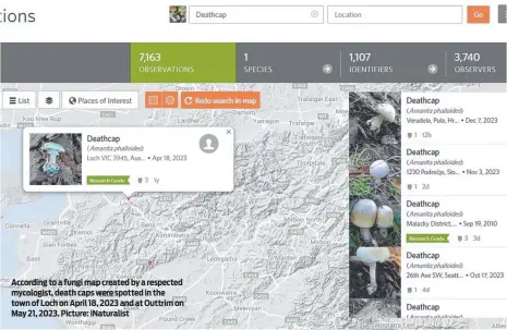  ?? ?? According to a fungi map created by a respected mycologist, death caps were spotted in the town of Loch on April 18, 2023 and at Outtrim on May 21, 2023. Picture: iNaturalis­t