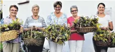  ?? FOTO: RUDI MARTIN ?? Rosa Eisele, Irma Maucher, Hildegard Volk, Gertrud Härle-Ruthers und Kathrin Eisele verteilten an Maria Himmelfahr­t die fein dufteten Büschel an die Gottesdien­stbesucher.