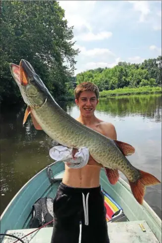  ?? SUBMITTED PHOTO ?? Kevin Rodenbaugh shows off the 45-inch muskie he caught on the Schuylkill River. The photo, which was posted on the Schuylkill River Greenways’ Facebook page, has gone viral.