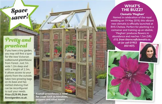  ??  ?? A small greenhouse is ideal for crops such as tomatoes, peppers and salad leaves