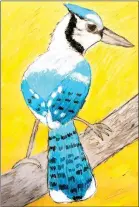  ?? Art work submitted ?? Fourth-grader Collin Little was the winner of the fourth-grade competitio­n with his oil pastel of a blue jay.