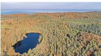  ??  ?? Der Küstenwald auf Usedom wurde als „Waldgebiet des Jahres 2016“prämiert.