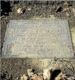  ??  ?? James Treloar, an engineer who made a great impact on the dairying industry with his many inventions, principal amongst which was the Treloar milking machine, was just the second person to be buried in the new lawn section of Hamilton East Cemetery, in...