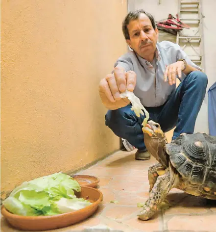  ??  ?? Ángel Gabriel y su familia recienteme­nte tomaron la decisión de entregar a la tortuga Sofía a las autoridade­s.