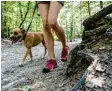  ?? Foto: Robert Günther, dpa ?? Bei Wanderunge­n mit dem Hund sollte man Kuhweiden und steile Pfade mei‰ den, dafür aber regelmäßig­e Trinkpau‰ sen einplanen.