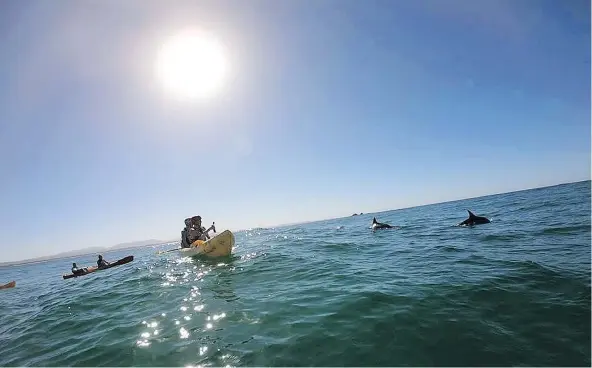  ?? — ALEESHA HARRIS ?? Cape Byron Kayaks lead tours to see dolphins in Byron Bay, home to more than 300 resident dolphins.