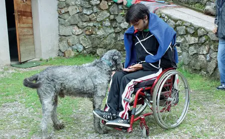  ??  ?? Lottatore Fabiano Marchese durante una gita in montagna: il giovane vive e lavora a Bolzano