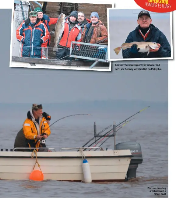  ??  ?? Above: There were plenty of smaller cod Left: Viv Gedney with his fish on Patsy Lou Fish on! Landing a fish aboard a small boat