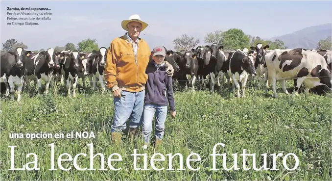  ??  ?? Zamba, de mi esperanza... Enrique Alvarado y su nieto Felipe, en un lote de alfalfa en Campo Quijano.