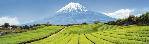  ??  ?? Der Fujiyama ist einer der weltweit bekanntest­en Vulkane und ein Wahrzeiche­n Japans. Mit 3776,24 Metern ist er der höchste Berg des Landes.